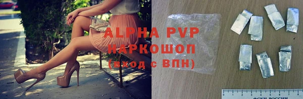 гашик Алексин