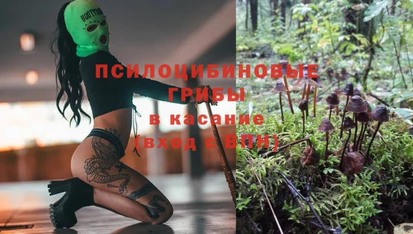 jwh Медвежьегорск