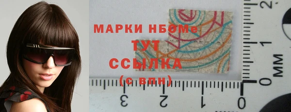 гашик Алексин