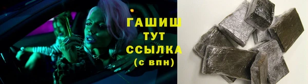 гашик Алексин