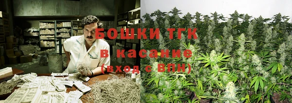 гашик Алексин