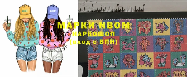 гашик Алексин