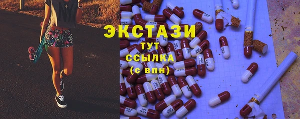 гашик Алексин