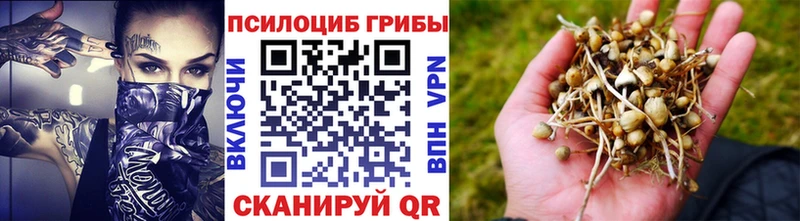 Псилоцибиновые грибы MAGIC MUSHROOMS  KRAKEN   Архангельск  где можно купить наркотик 