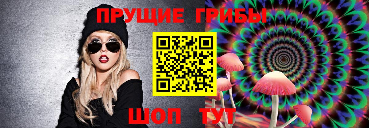 Псилоцибиновые грибы Cubensis Архангельск